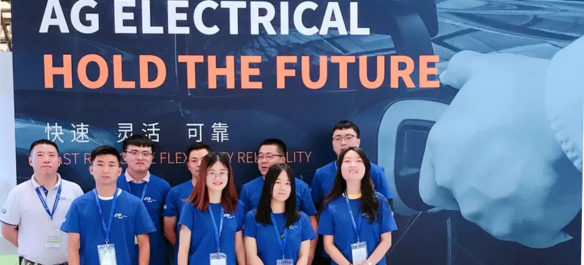 goodbye-shanghai-evse-exhibition-20202.jpg goodbye-shanghai-evse-exhibition-20202.jpg